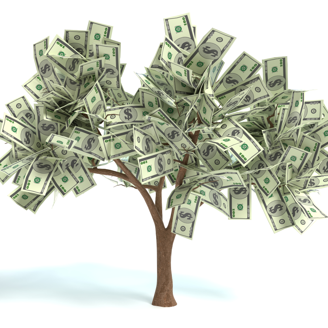 money tree